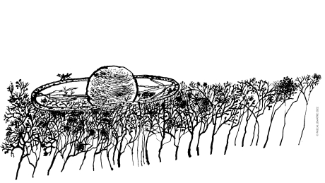 WE - a black and white illustration depicting a planet type object being held up by a row of trees.