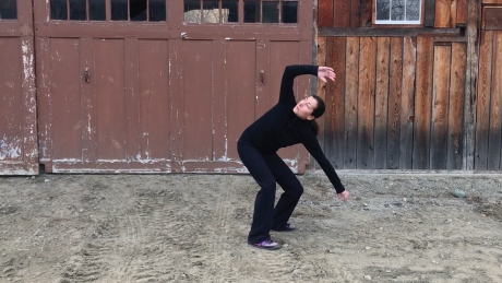 Sourdough Dance-Off