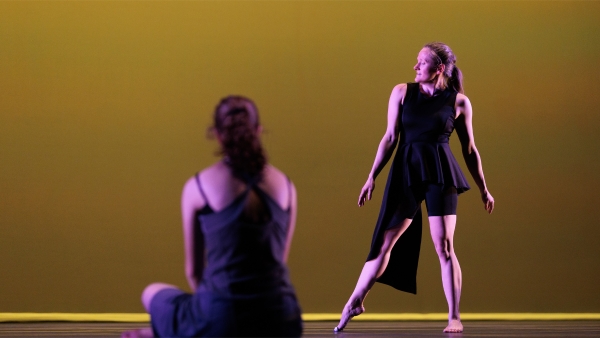 Biomimetic Choreography Workshop Biomimetic Choreography Workshop