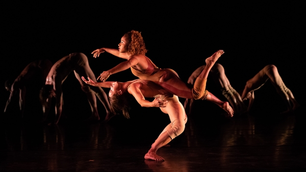 Pilobolus