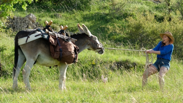 My Donkey, My Lover & I My Donkey, My Lover & I