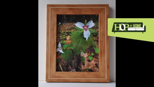 Picture Frame Series Picture Frame Series