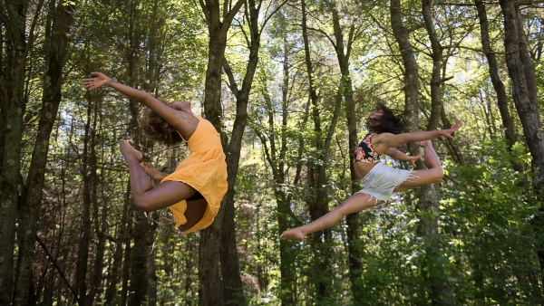 Pilobolus Pilobolus