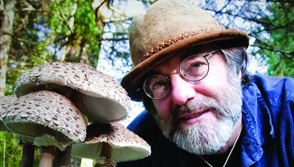 Fantastic Fungi Fantastic Fungi